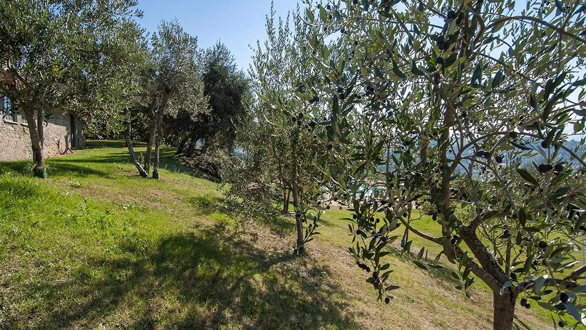 Rustikales Natursteinhaus In Der Toskana Mit Gemeinschaftlichem Garten Und Pool Pratovecchio Stia Casa vacanze