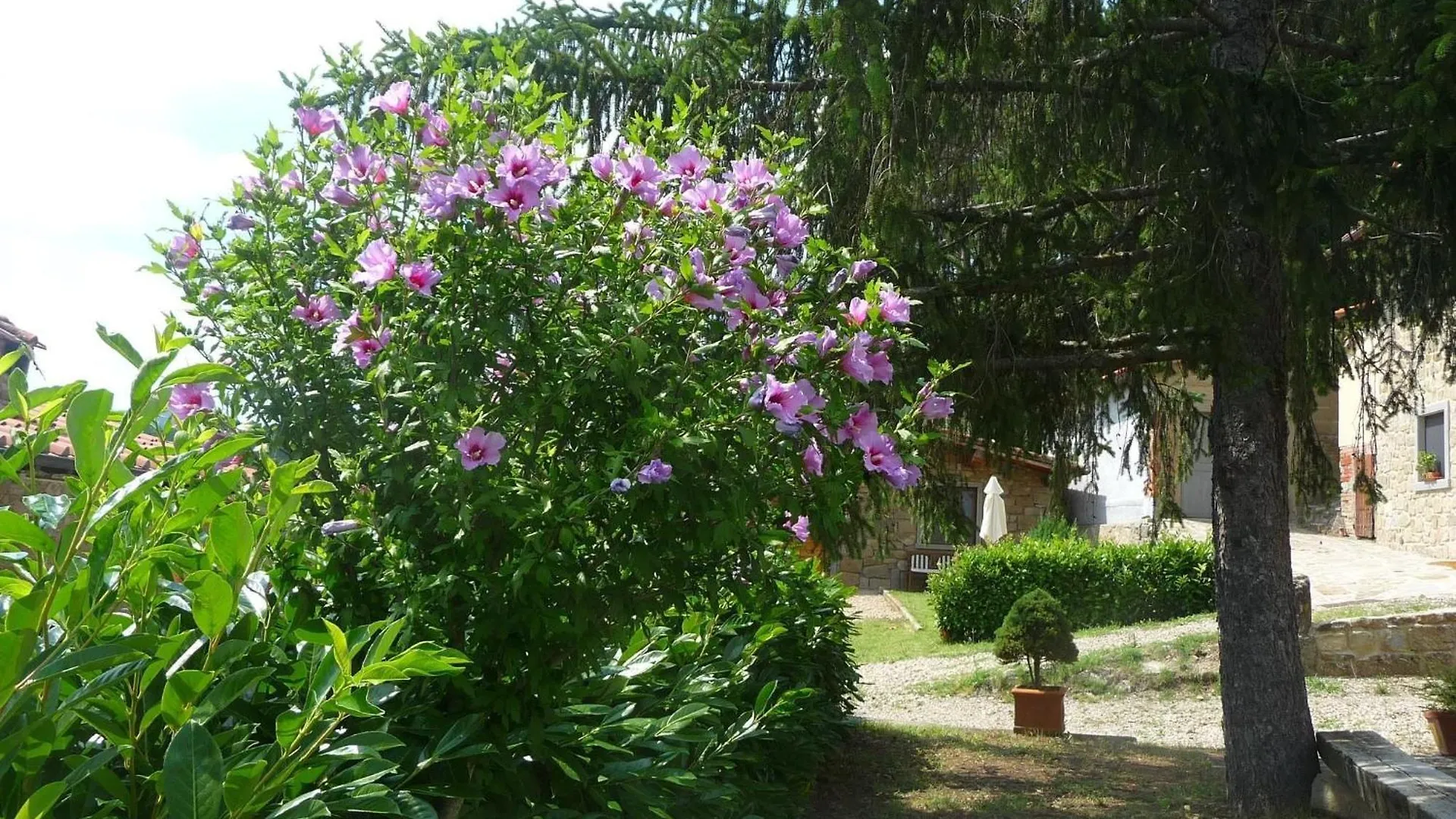 Rustikales Natursteinhaus In Der Toskana Mit Gemeinschaftlichem Garten Und Pool Pratovecchio Stia